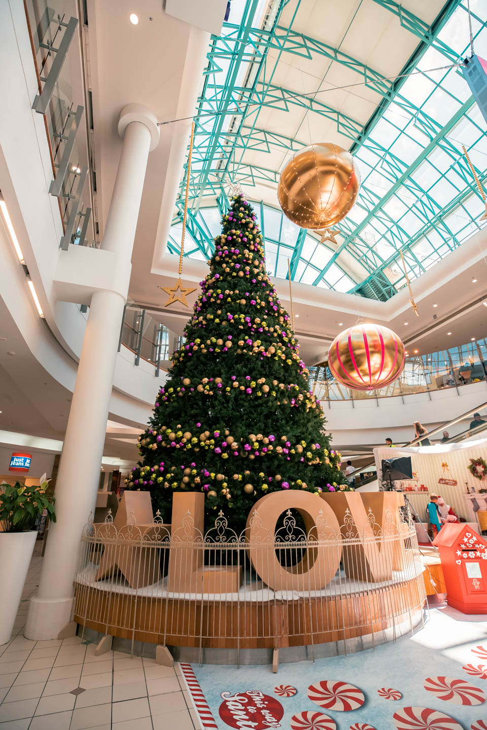 Giant Tree North City Porirua – 494