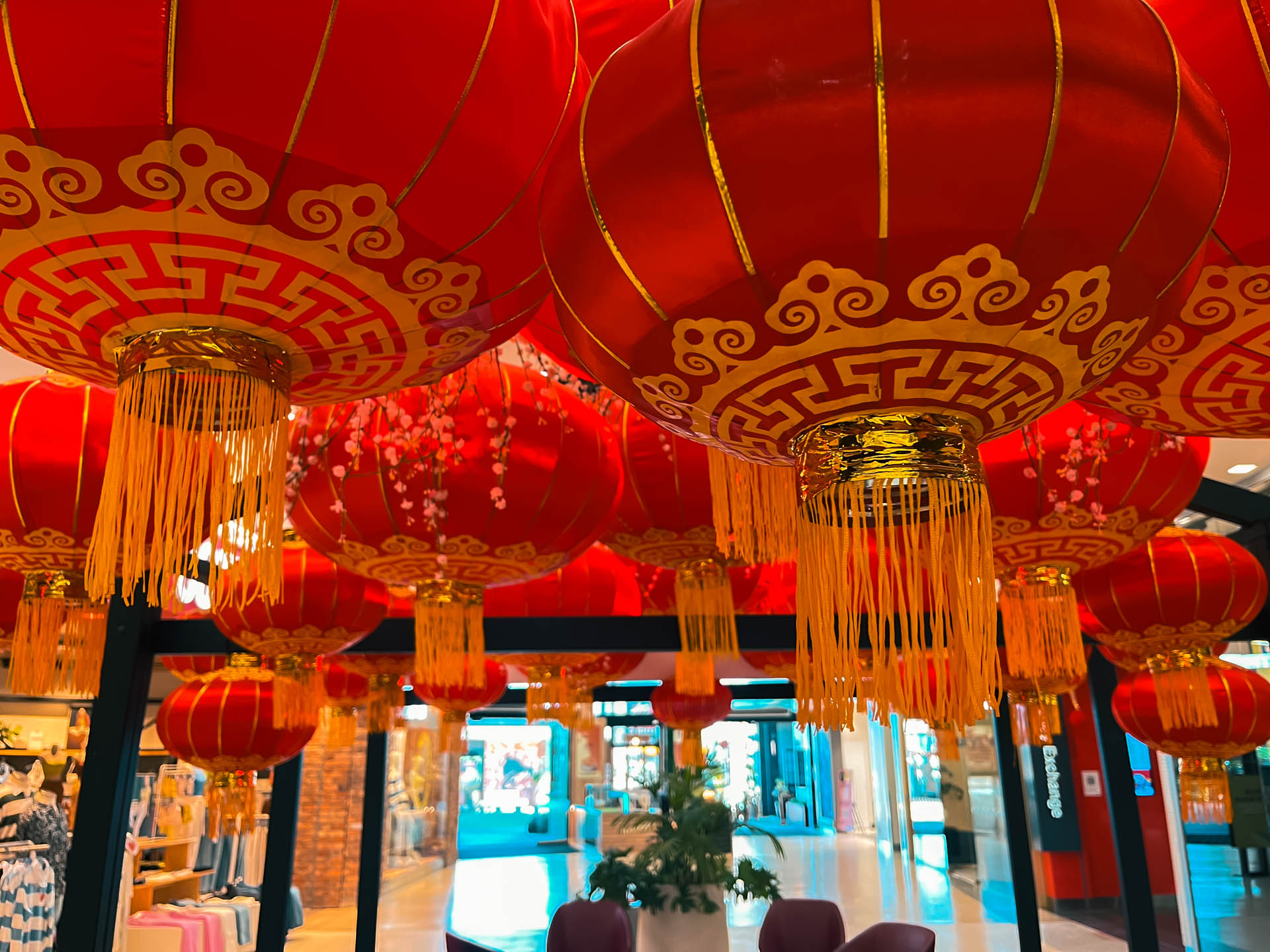 Lynn Mall CNY 22 (12)