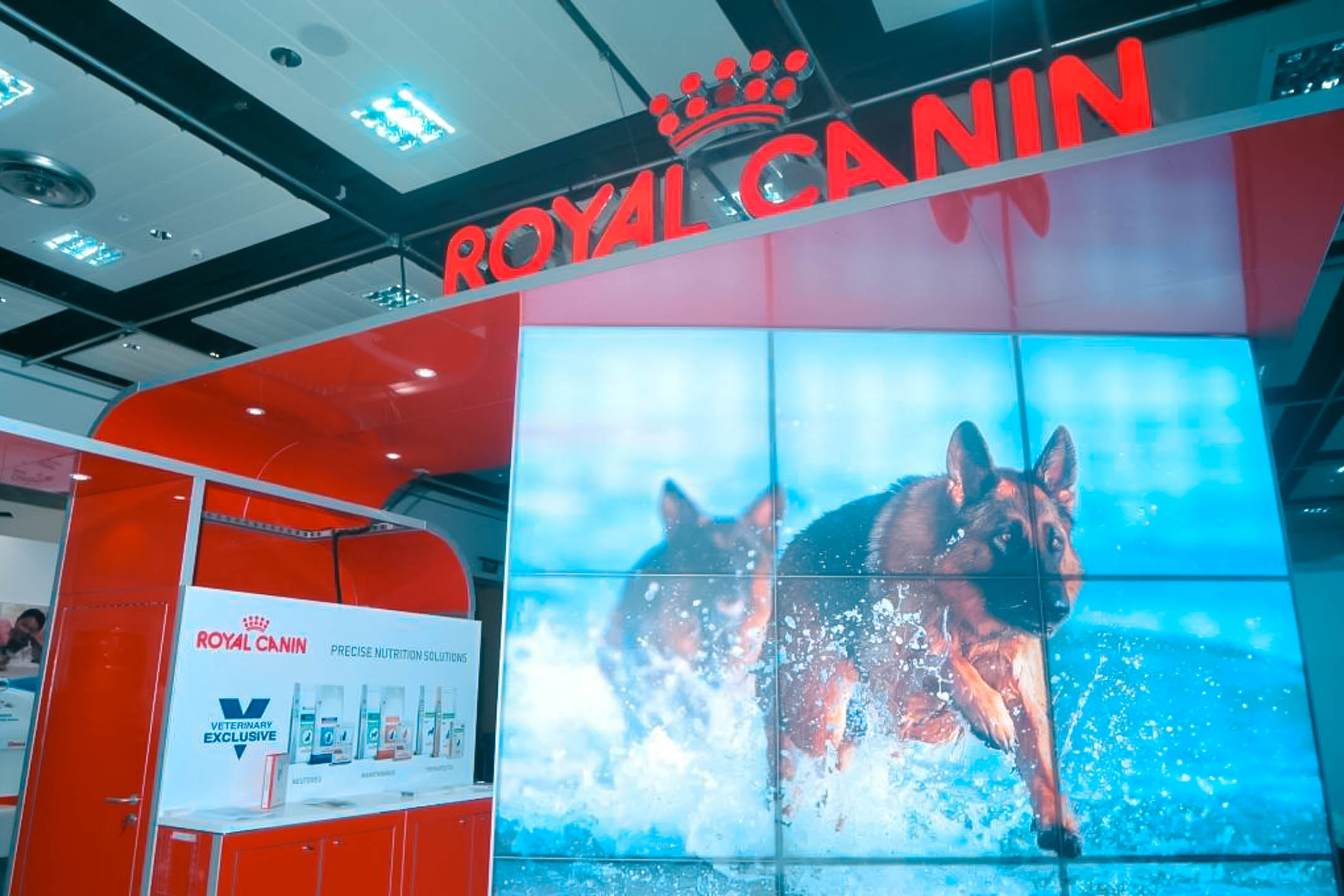 Royal Canin (1)