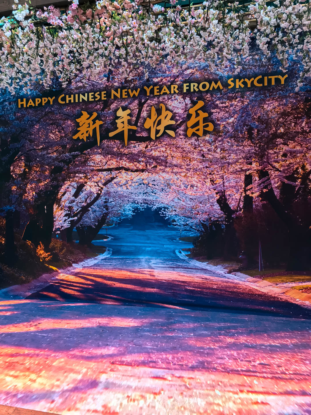 SkyCity CNY Blossom Photo op (1)